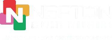 neftonexportsind.com